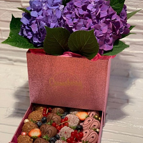 Шкатулка с гортензией и клубникой в бельгийском шоколаде