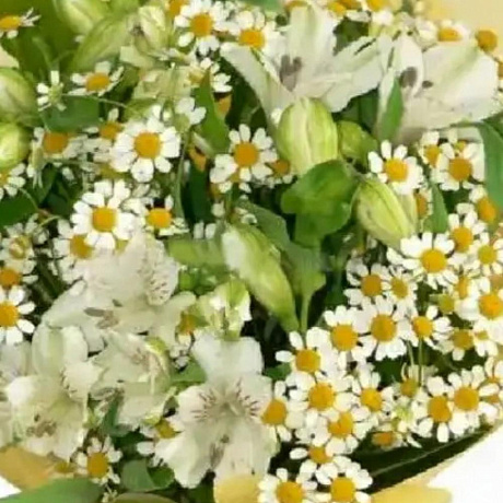 Букет цветов Ромашковое поле №161 - Фото 1