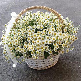 Нежность в корзине цветов