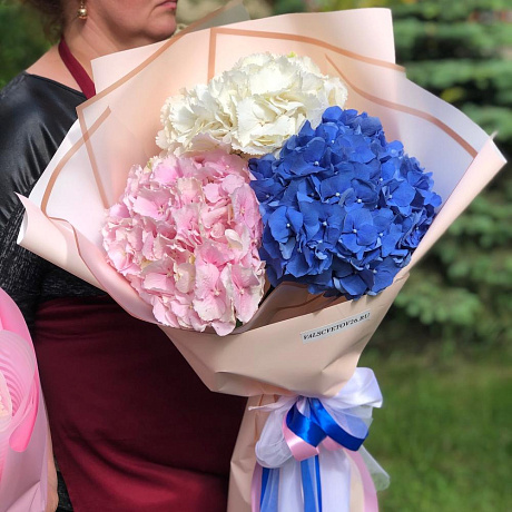 Букет из гортензий №177 - Фото 1