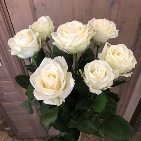 Букет роз для сестры 7 белых розочек - Фото 1
