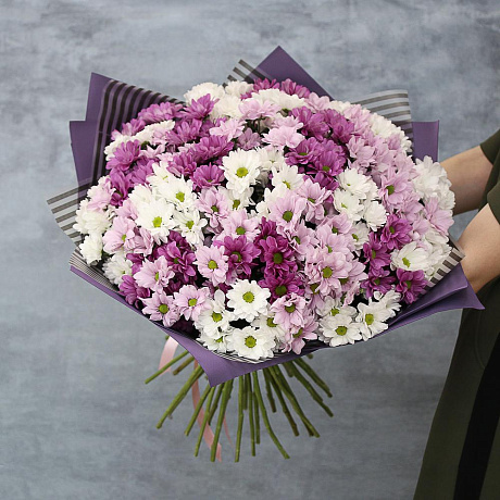 Букет из 35 кустовых хризантем №160 - Фото 1