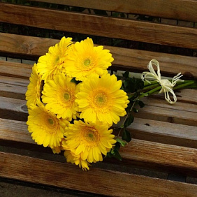 Герберы желтые