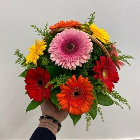 Корзина с Герберами №161