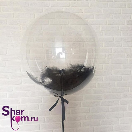 Прозрачный шар Сфера с черными перьями - Фото 1