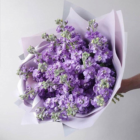 Букет цветов Ароматная маттиола №161 - Фото 1