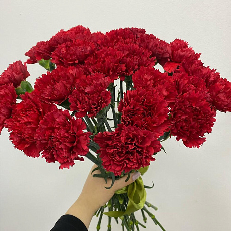 Букет цветов Гвоздика №161 - Фото 1