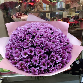 Хризантема куставая