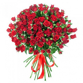 51 красная кустовая роза 50см