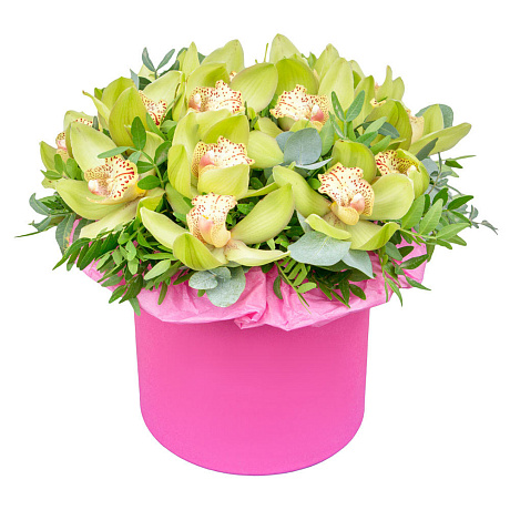 15 зеленых орхидей в средней шляпной коробке - Фото 1