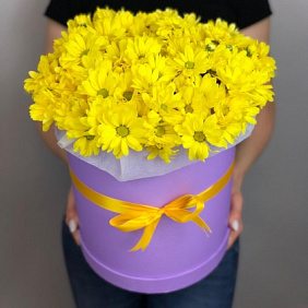 Желтые хризантемы в коробке №161
