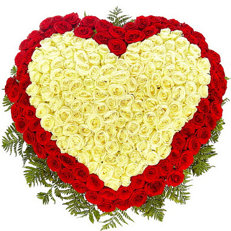 101 красная и белая роза сердцем - Фото 1