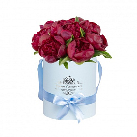 9 бордовых пионов в маленькой голубой шляпной коробке №776