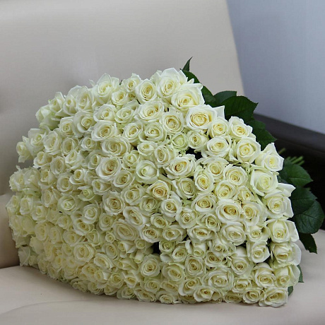 151 белая роза 60 см - Фото 1
