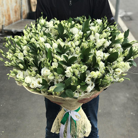 Букет из эустомы 99 шт с рускусом. N280 - Фото 1