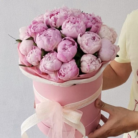 21 пион в шляпной коробке