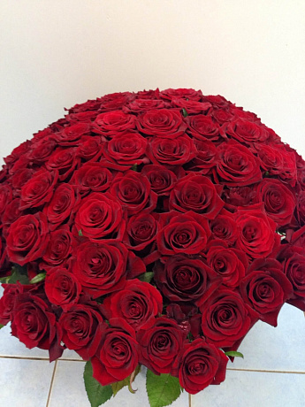 Большой букет из красных роз Вечерний звон - Фото 1