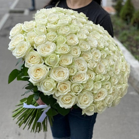 101 белая роза в ленте