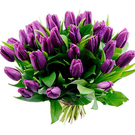Букет фиолетовых тюльпанов Бизнес встреча - Фото 1
