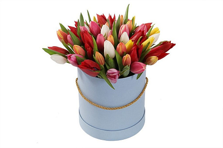 59 тюльпанов микс в большой голубой шляпной коробке №519 - Фото 1