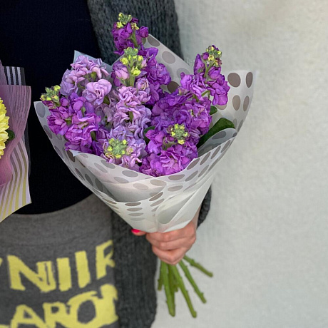 Букет Маттиол - Фото 1