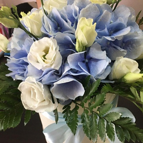 Коробка гортензия