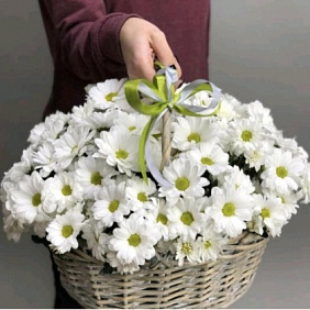 Корзина с ромашками S
