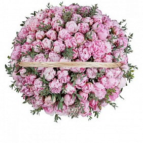 Корзина из 201 пиона