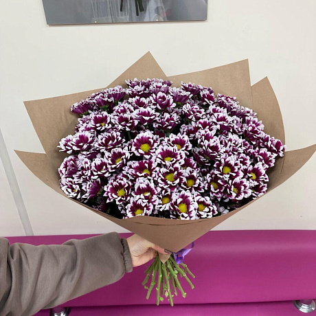 19 кустовых хризантем - Фото 1