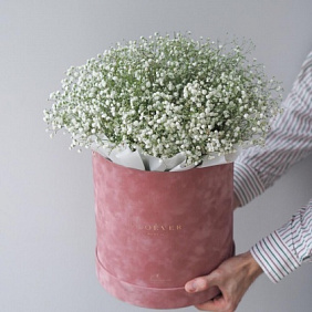 Белая гипсофила в кофейной шляпной коробке XL