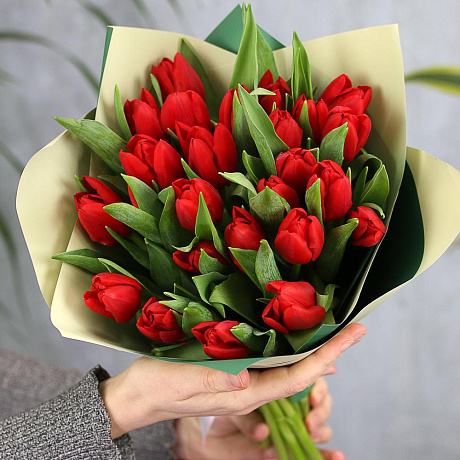 Букет 25 красных Тюльпанов - Фото 1