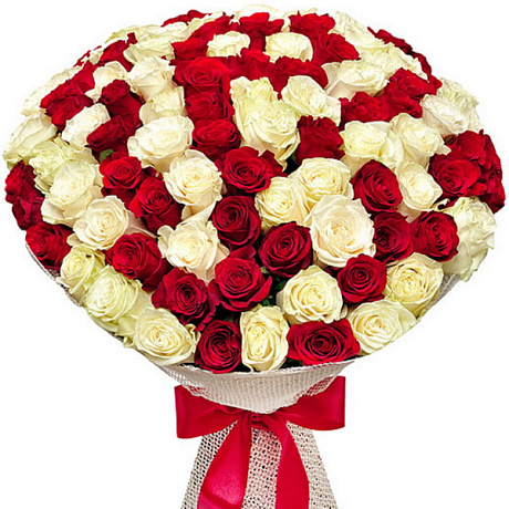 101 красная и белая роза №160 - Фото 1