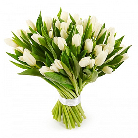 Букет белых тюльпанов "Снежинка"