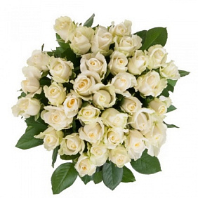 Букет из 51 белой розы и рускуса