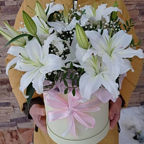 Букет цветов "Белоснежка" №204