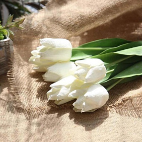 Букет 5 белых тюльпанов