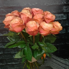 Моно-букет из 15 пионовидных роз Кахала 50см