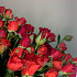 Роза кустовая Голландия - Фото 6