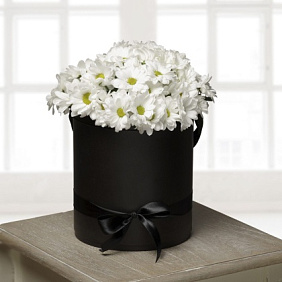 7 Белых Ромашковых хризантем в черной шляпной коробке №156