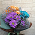 Мини комплимент из радужной хризантемы - Фото 3