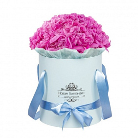 15 ярко-розовых пионов в голубой шляпной коробке №790