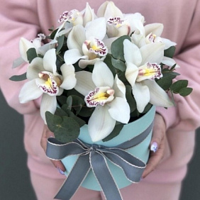 9 белых орхидей в коробке