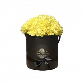 7 Желтых хризантем в черной шляпной коробке №90