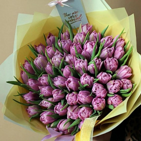 51 пионовидный фиолетовый тюльпан