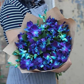 Орхидея синяя 25