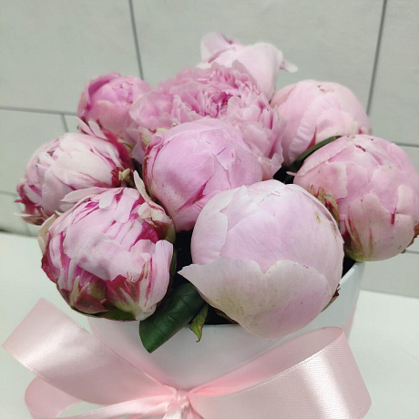 Букет цветов Пионы розовые - Фото 4