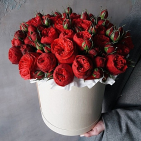 11 белых пионовидных роз Премиум в красной шляпной коробке