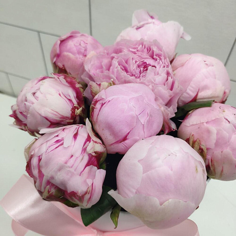 Букет цветов Пионы розовые - Фото 6