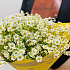 Букет цветов Кусочек солнечного лета - Фото 3