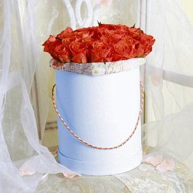 25 оранжевых роз в голубой шляпной коробке №188